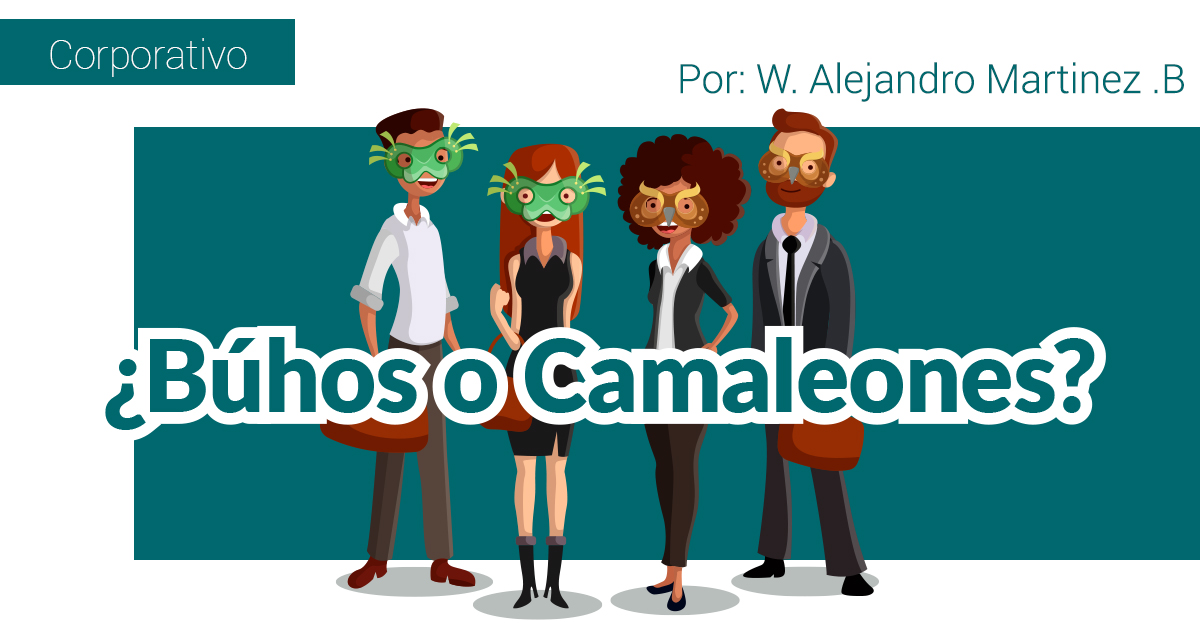 ¿Búhos o Camaleones?