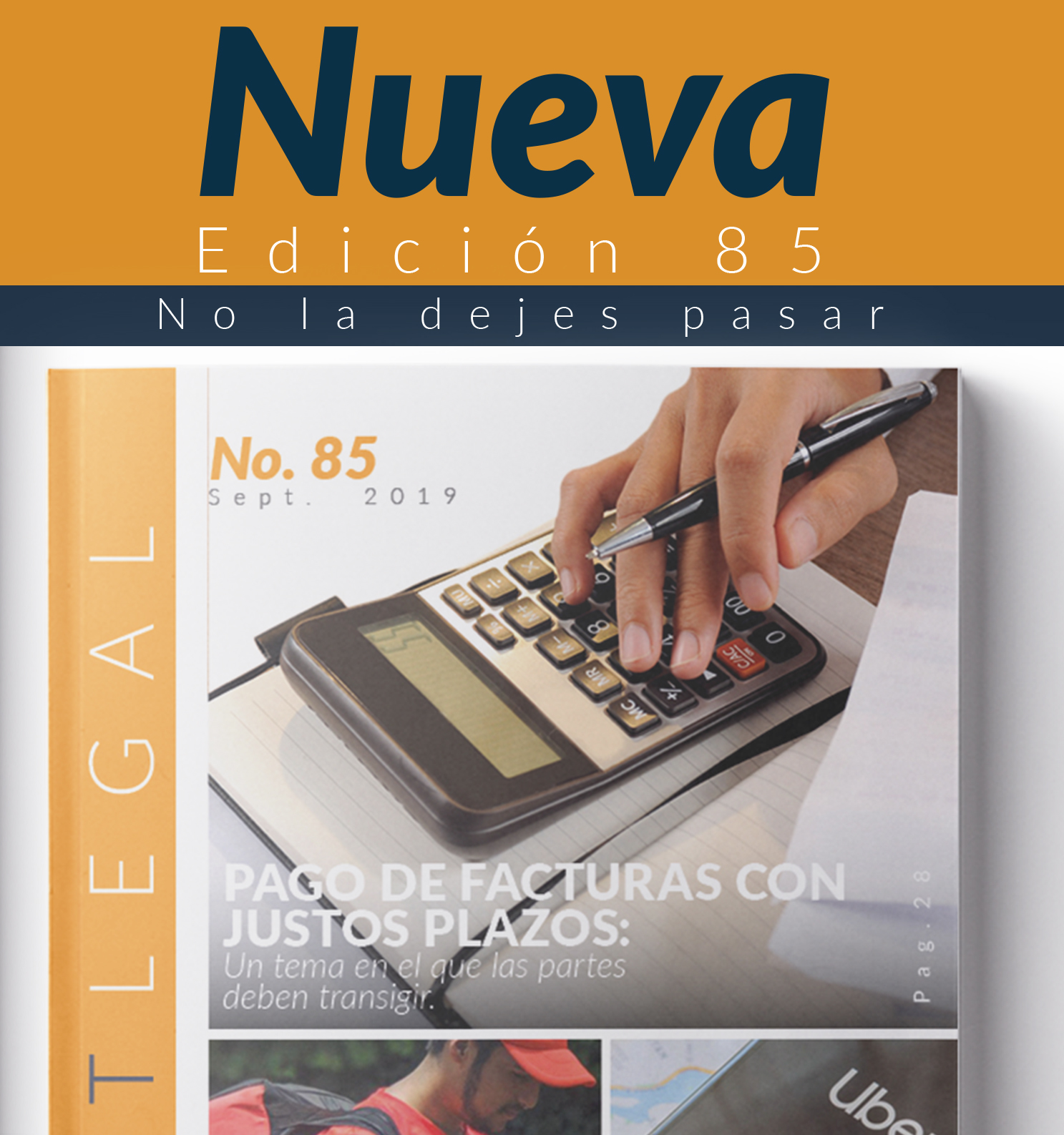 Edición Notinet legal No. 85 -2019