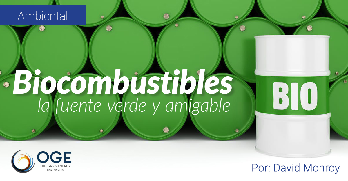 Biocombustibles, la fuente verde y amigable