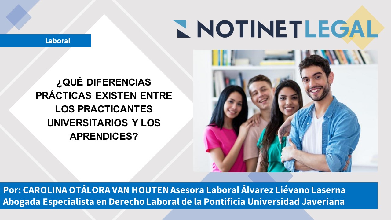 ¿Qué diferencias prácticas existen entre los practicantes universitarios y los aprendices?