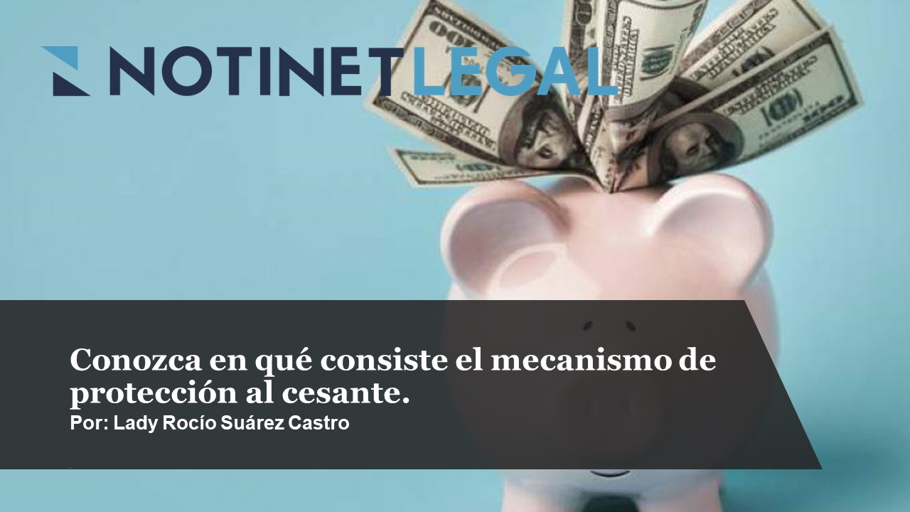 Conozca en qué consiste el mecanismo de protección al cesante