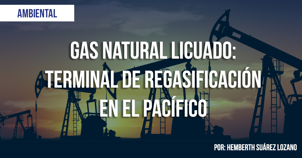 GAS NATURAL LICUADO: Terminal de Regasificaci