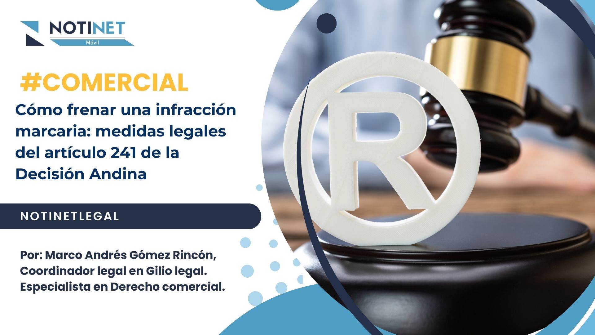 Cómo frenar una infracción marcaria: medidas legales del artículo 241 de la Decisión Andina