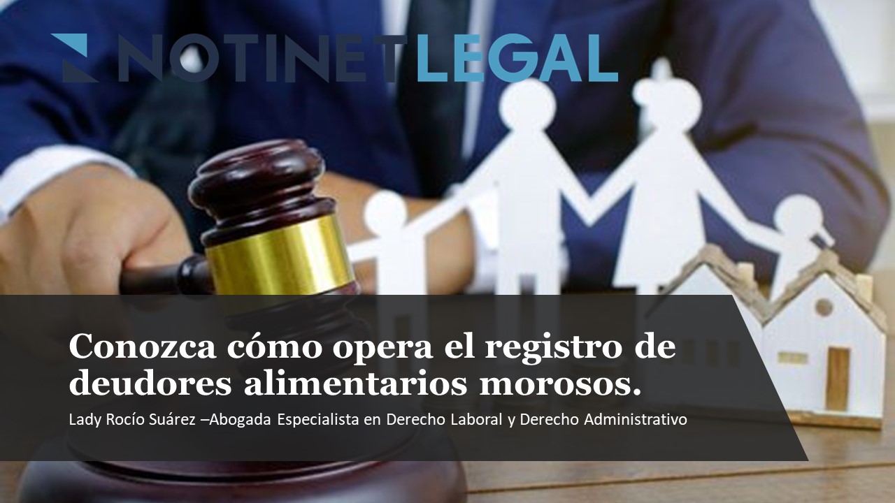 Conozca cómo opera el registro de deudores alimentarios morosos. Conozca cómo opera el registro de deudores alimentarios morosos.