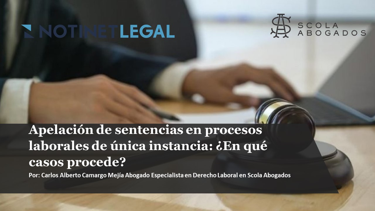Apelación de sentencias en procesos laborales de única instancia: ¿En qué casos procede?