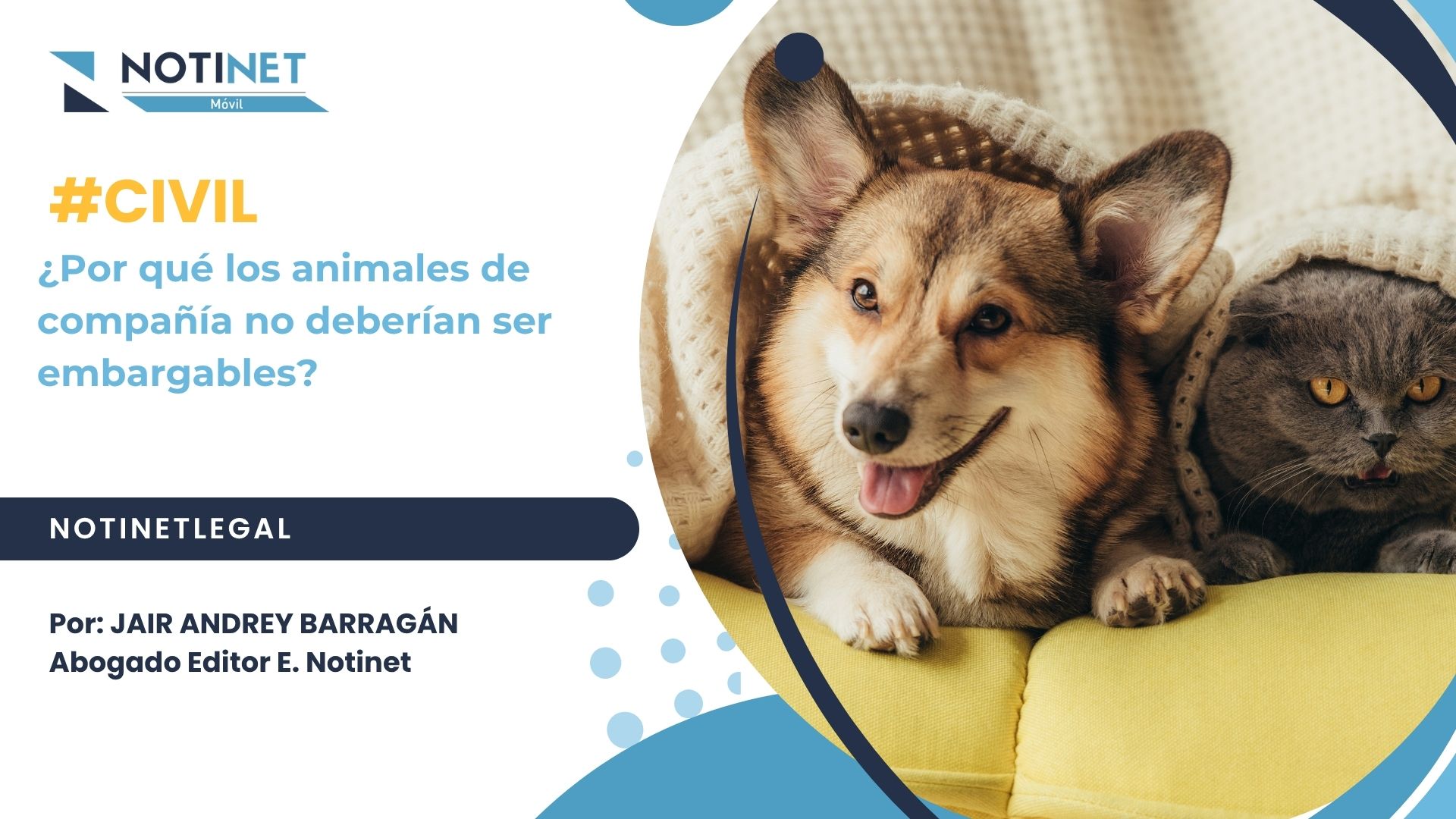 ¿Por qué los animales de compañía no deberían ser embargables?
