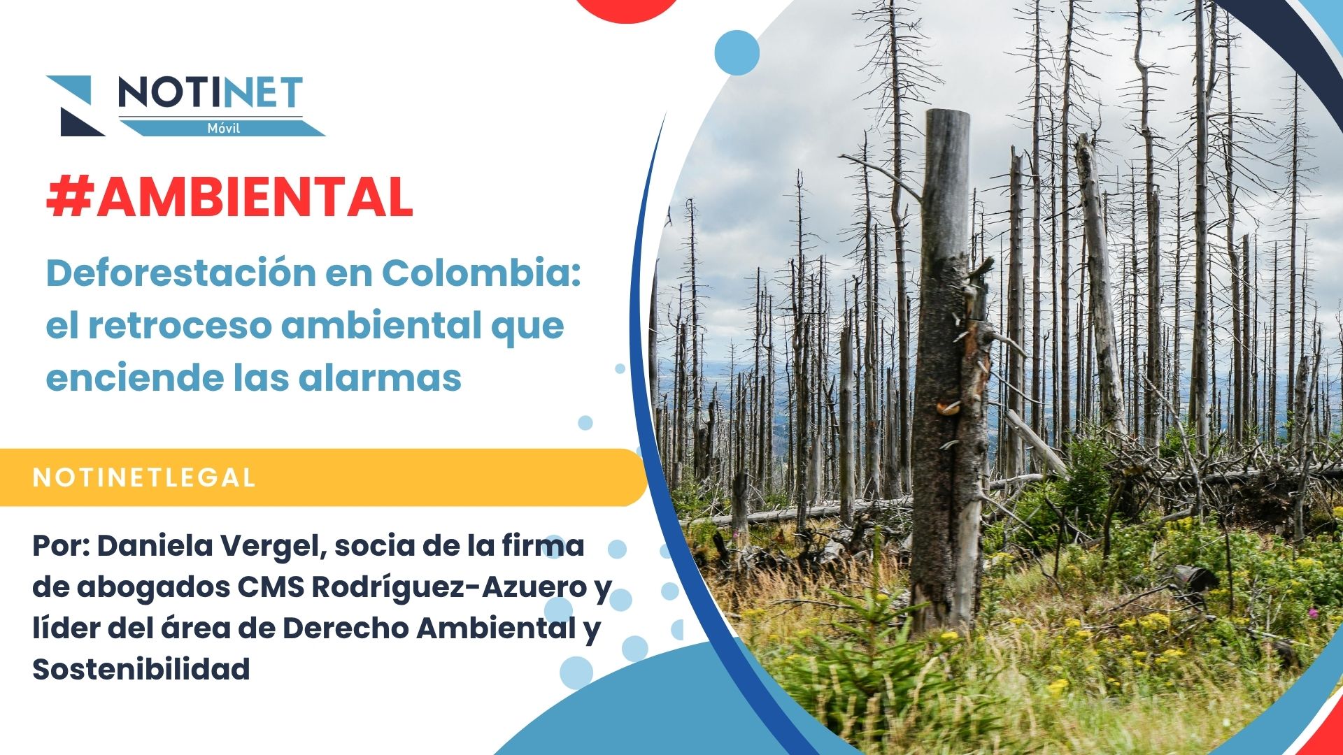 Deforestación en Colombia: el retroceso ambiental que enciende las alarmas