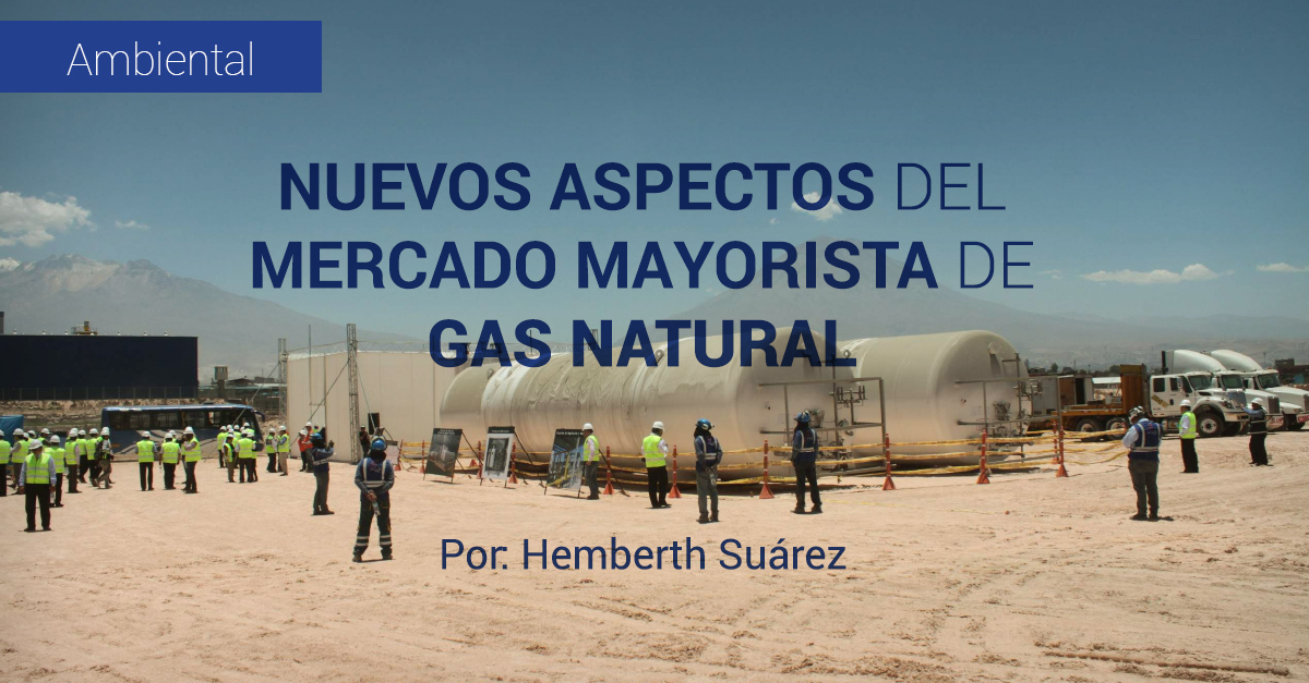 NUEVOS ASPECTOS DEL MERCADO MAYORISTA DE GAS NATURAL.